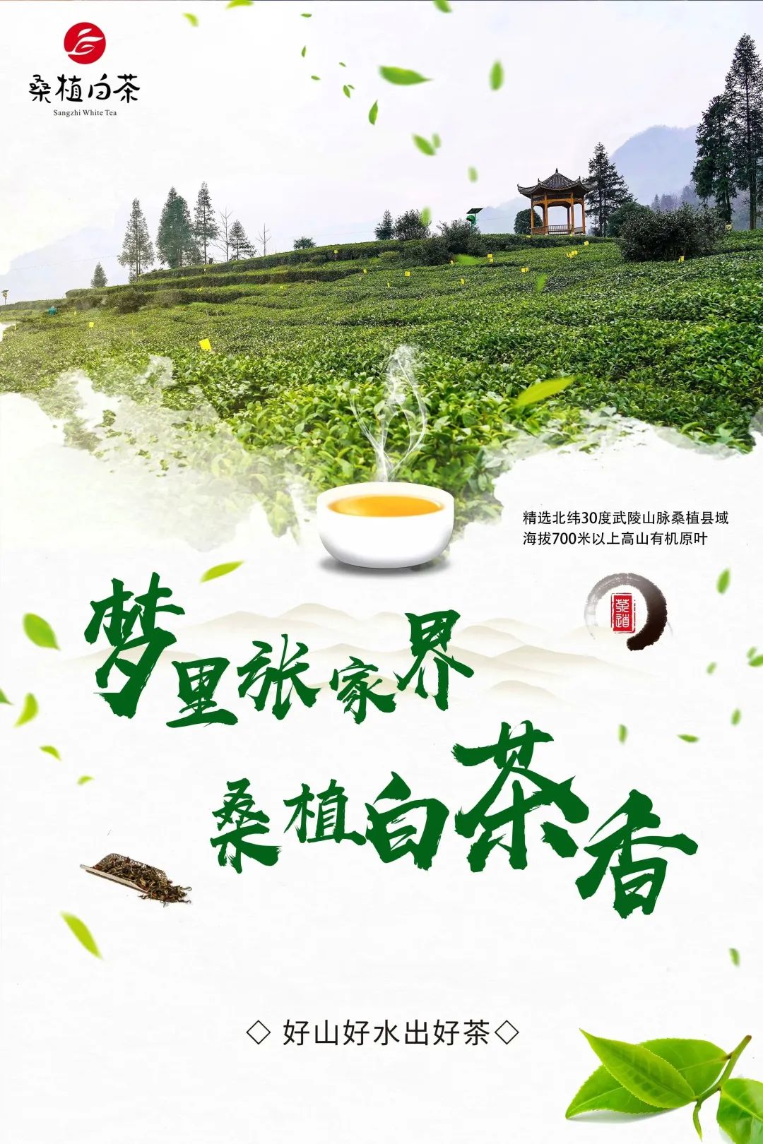 篮球邀请赛活动方案_篮球邀请赛赛制有哪些规则_篮球邀请赛方案