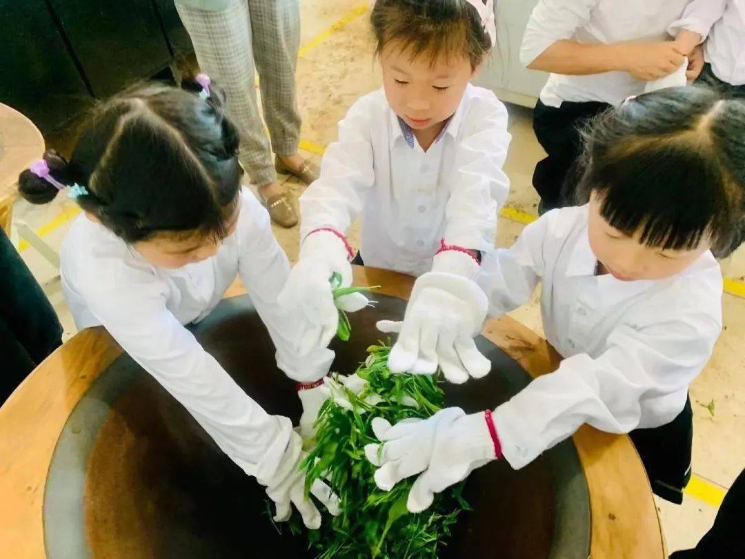 生活技能类研学课程_技能研修生_技能学科教研活动