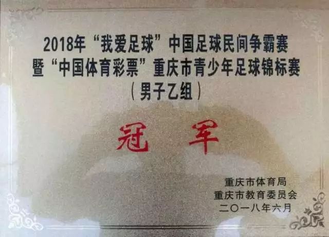 足球队冠军是谁_足球队获得冠军_22届足球冠军是哪一队