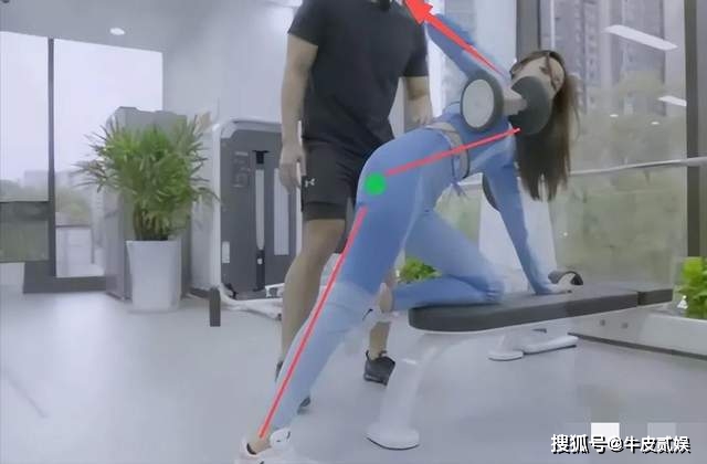 骨瘦如柴中的柴是什么意思_骨瘦如柴亚健康_骨瘦如柴柴