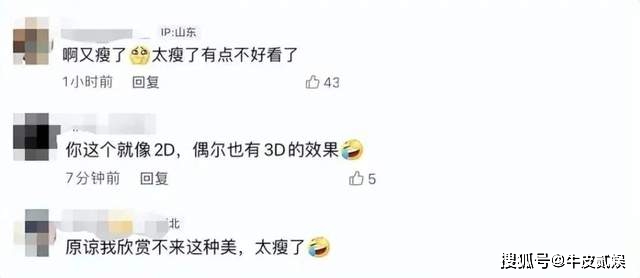 骨瘦如柴中的柴是什么意思_骨瘦如柴亚健康_骨瘦如柴柴