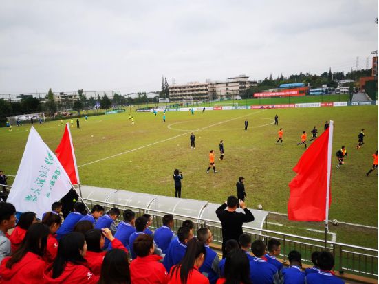 小学足球教学现状调查与分析_小学足球教学案例分析_小学生足球教育历史发展