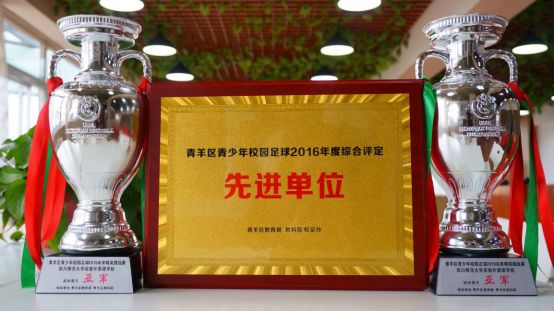 小学足球教学案例分析_小学足球教学现状调查与分析_小学生足球教育历史发展