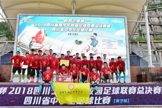 小学生足球教育历史发展_小学足球教学现状调查与分析_小学足球教学案例分析